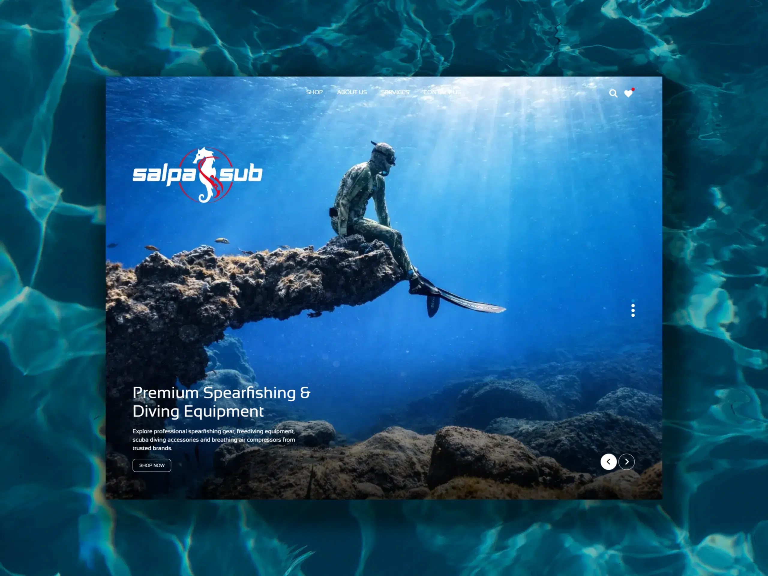 Salpa Sub WordPress and WooCommerce catalogue website developed by Dreivo